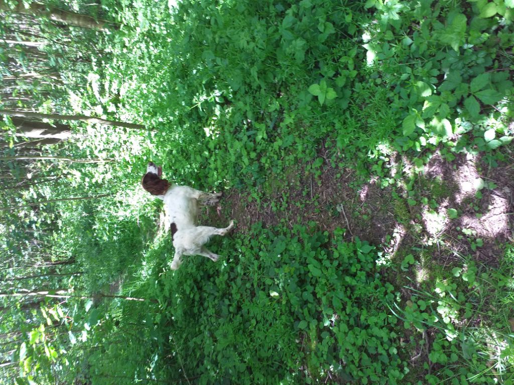 oskar du chemin des cavaliers